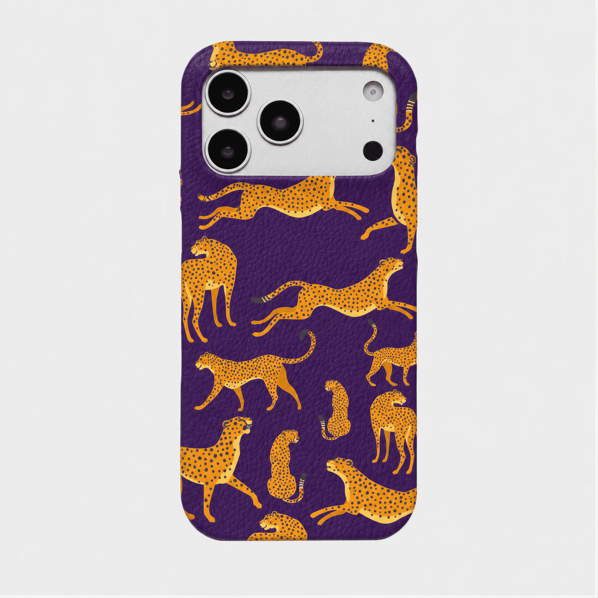 Case Jaguar Smooth Leather Color