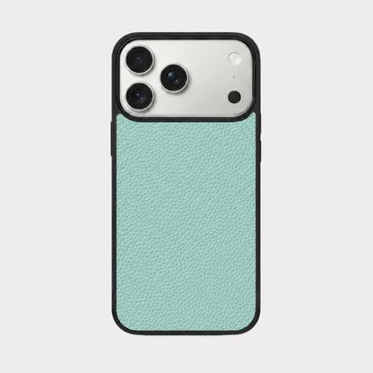Case Closed Color