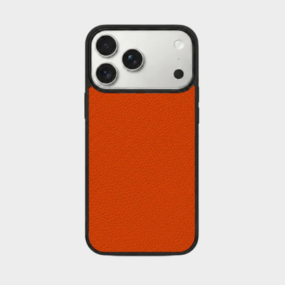 Case Closed Color