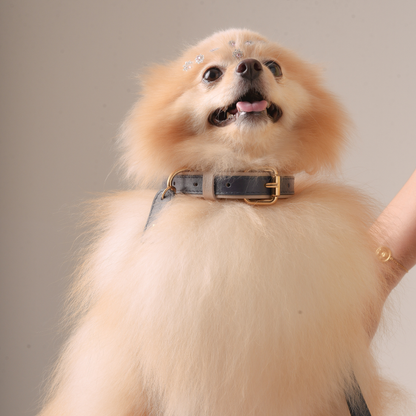 Personalized Leather Collar