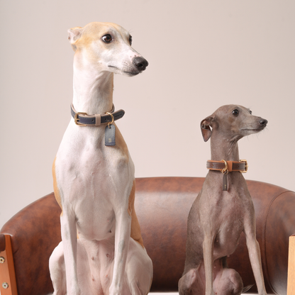 Personalized Leather Collar