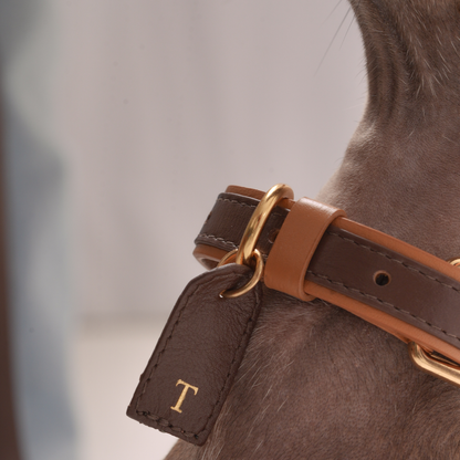 Personalized Leather Collar