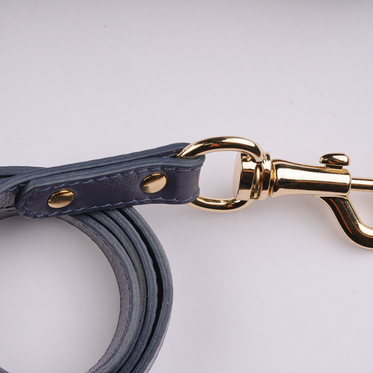 Classic Leather Leash