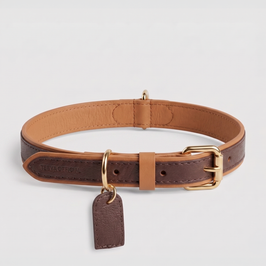 Personalized Leather Collar