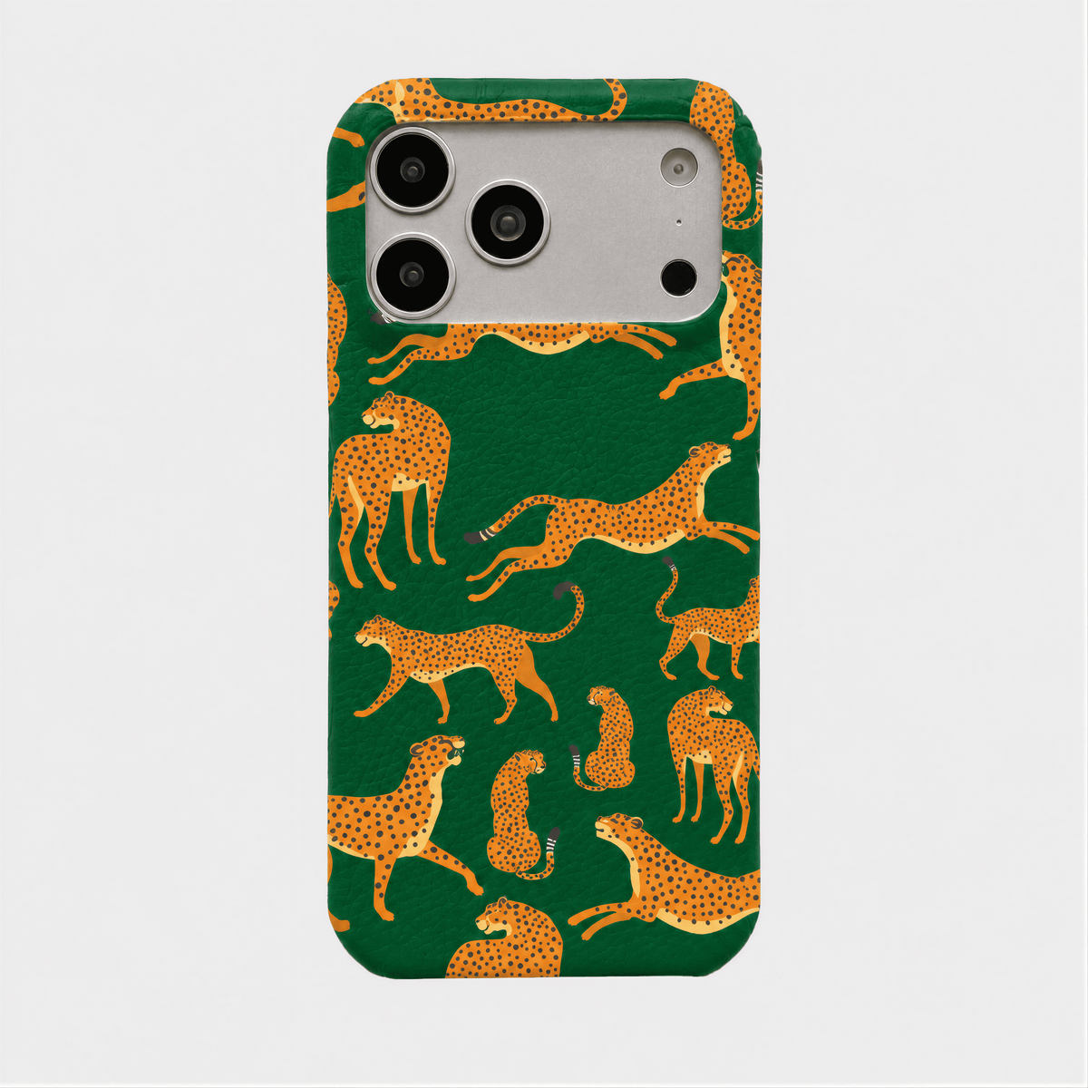 Case Jaguar Smooth Leather Color
