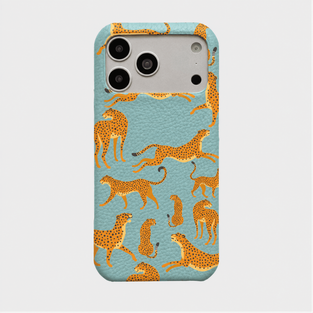 Case Jaguar Smooth Leather Color