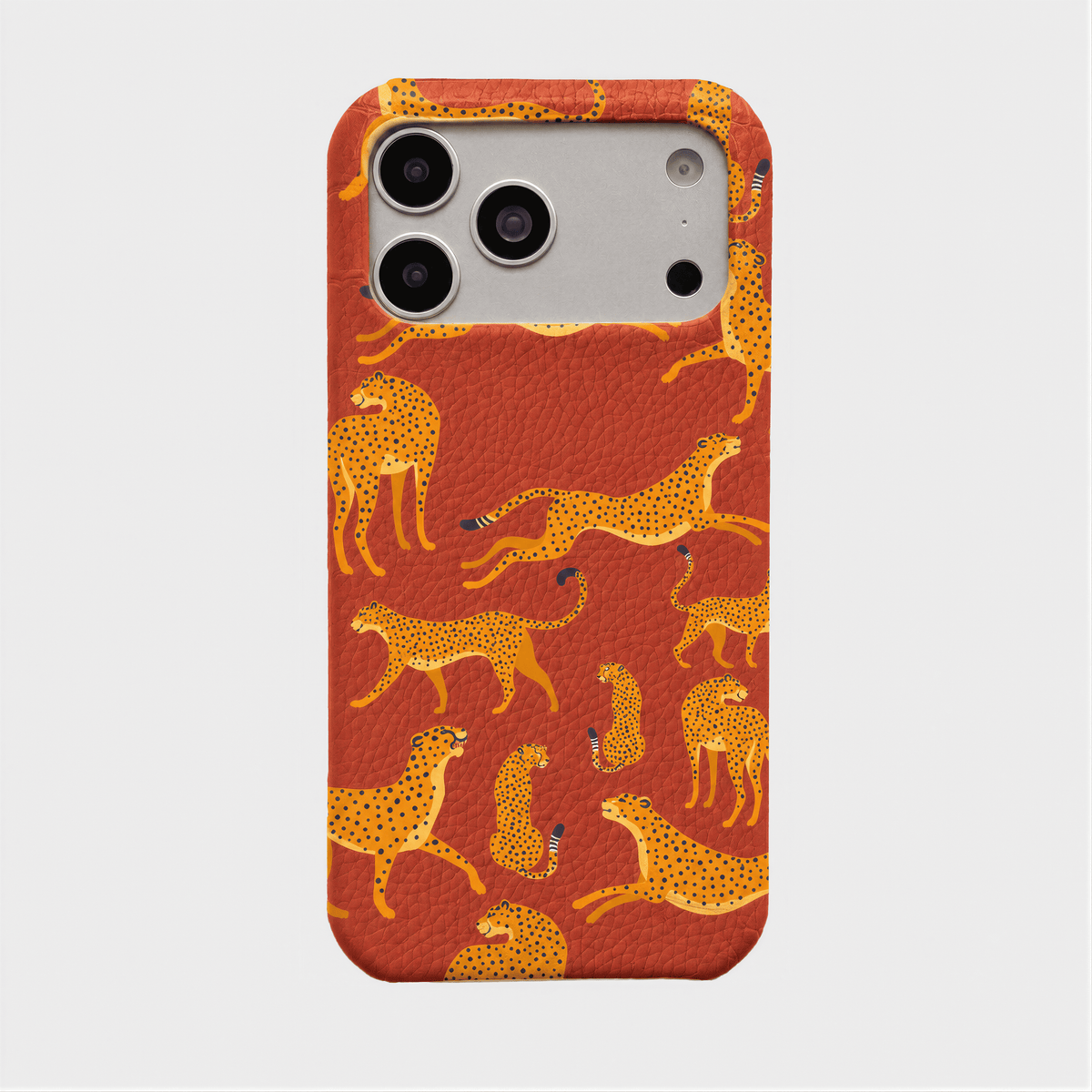 Case Jaguar Smooth Leather Color