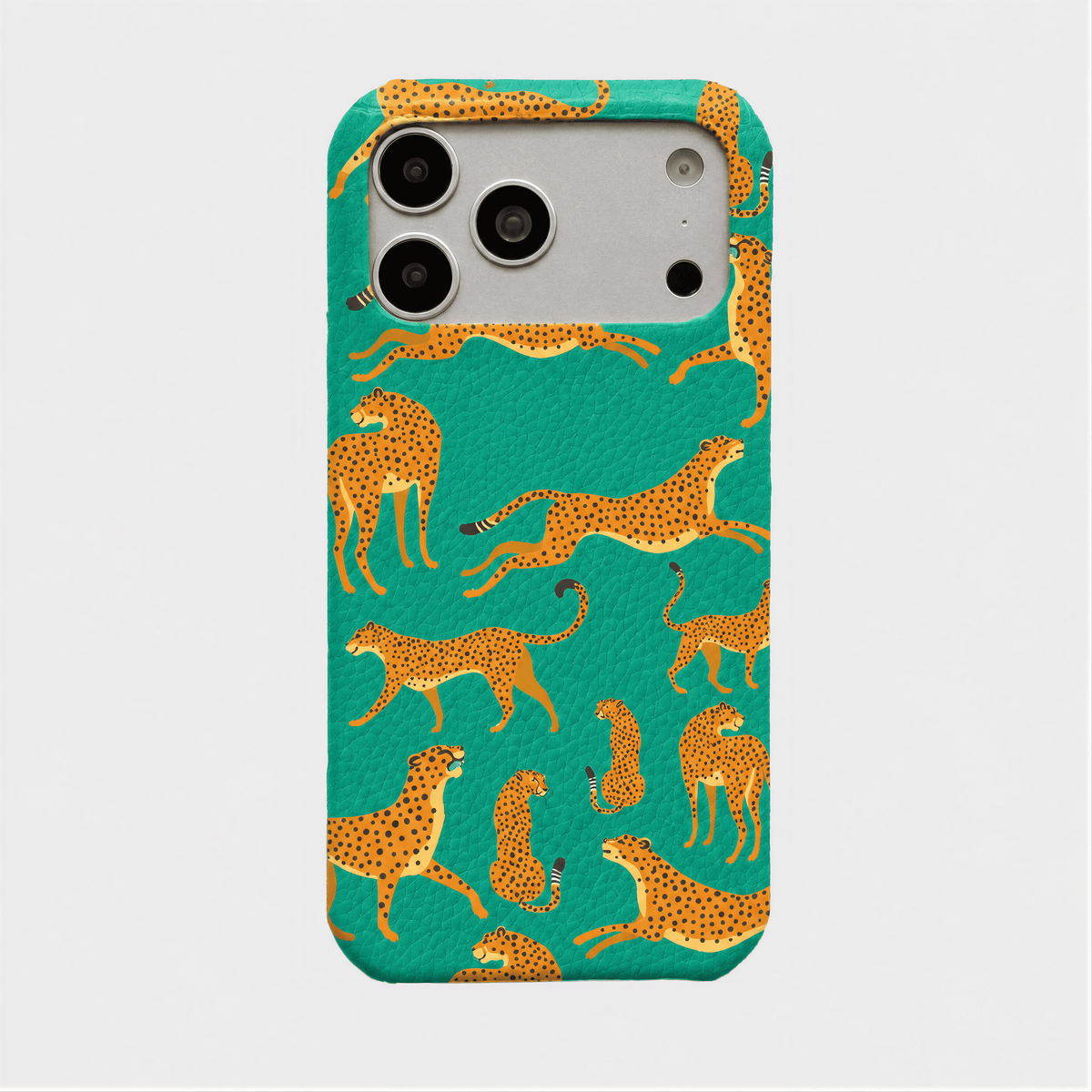 Case Jaguar Smooth Leather Color