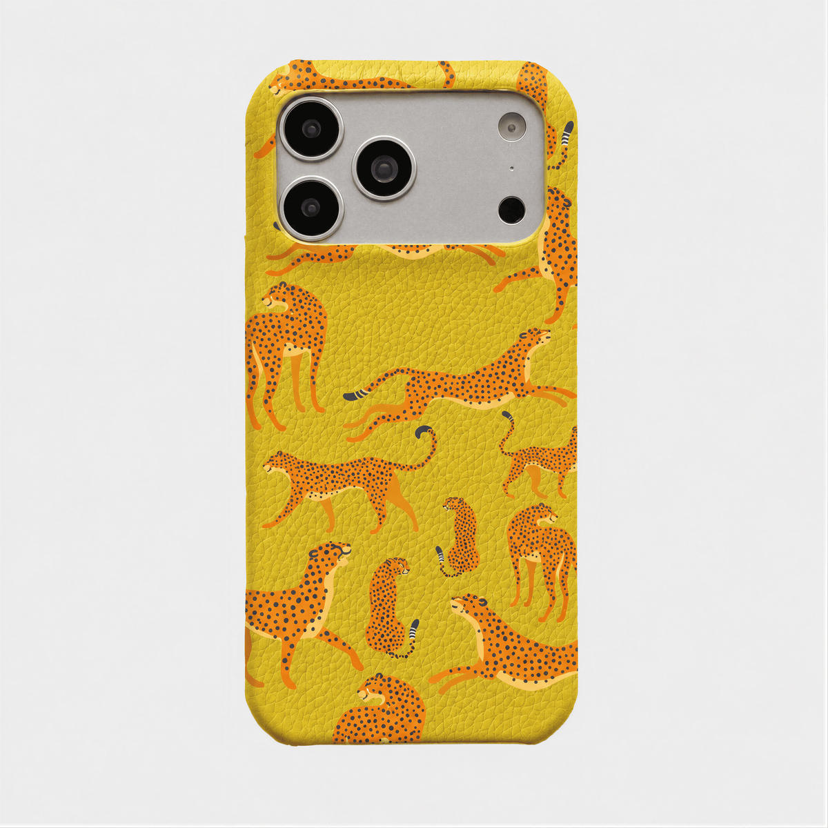 Case Jaguar Smooth Leather Color